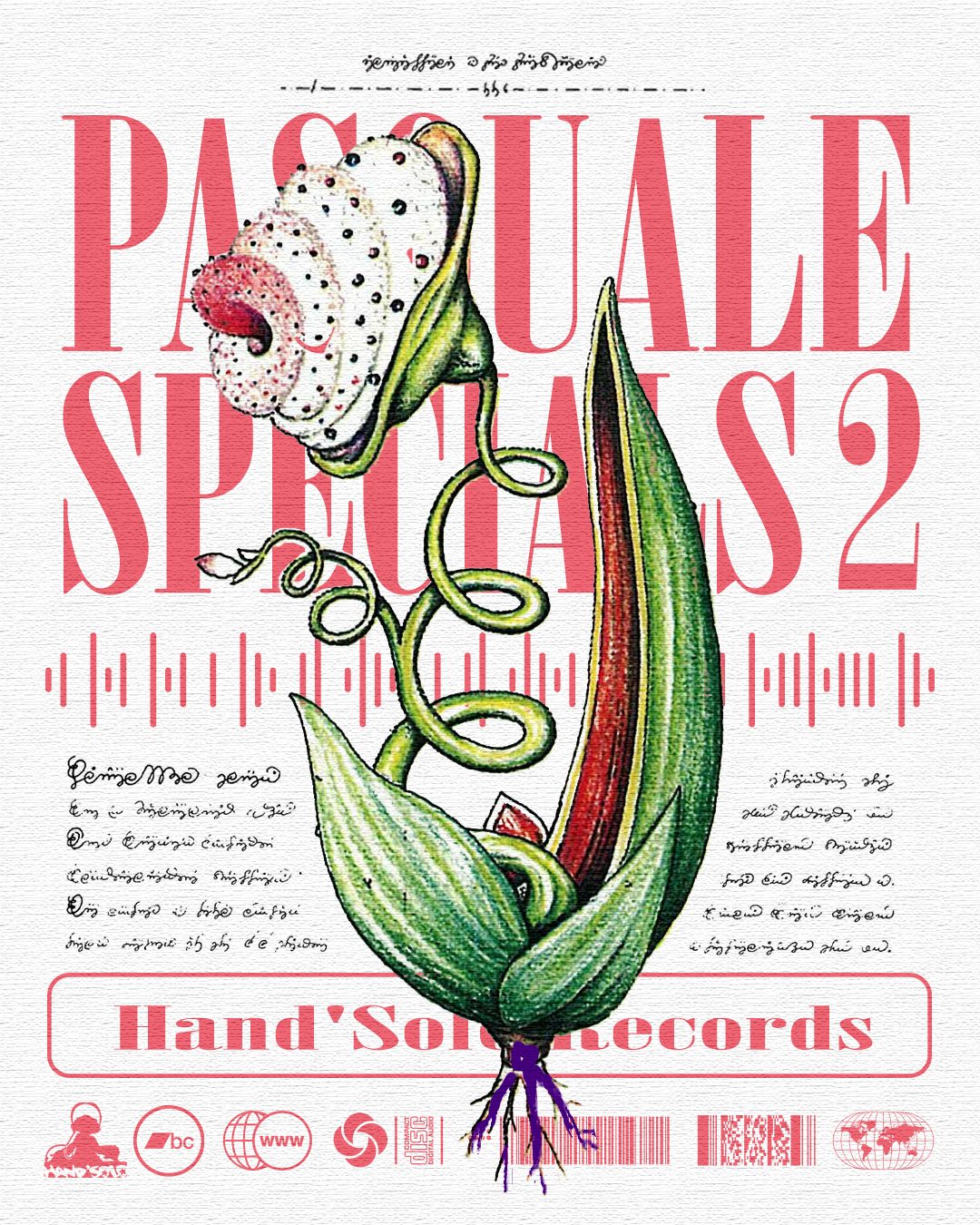 Pasquale Specials 2 — tangled root plant illustration, album art for Hand’Solo Records by James Marshel