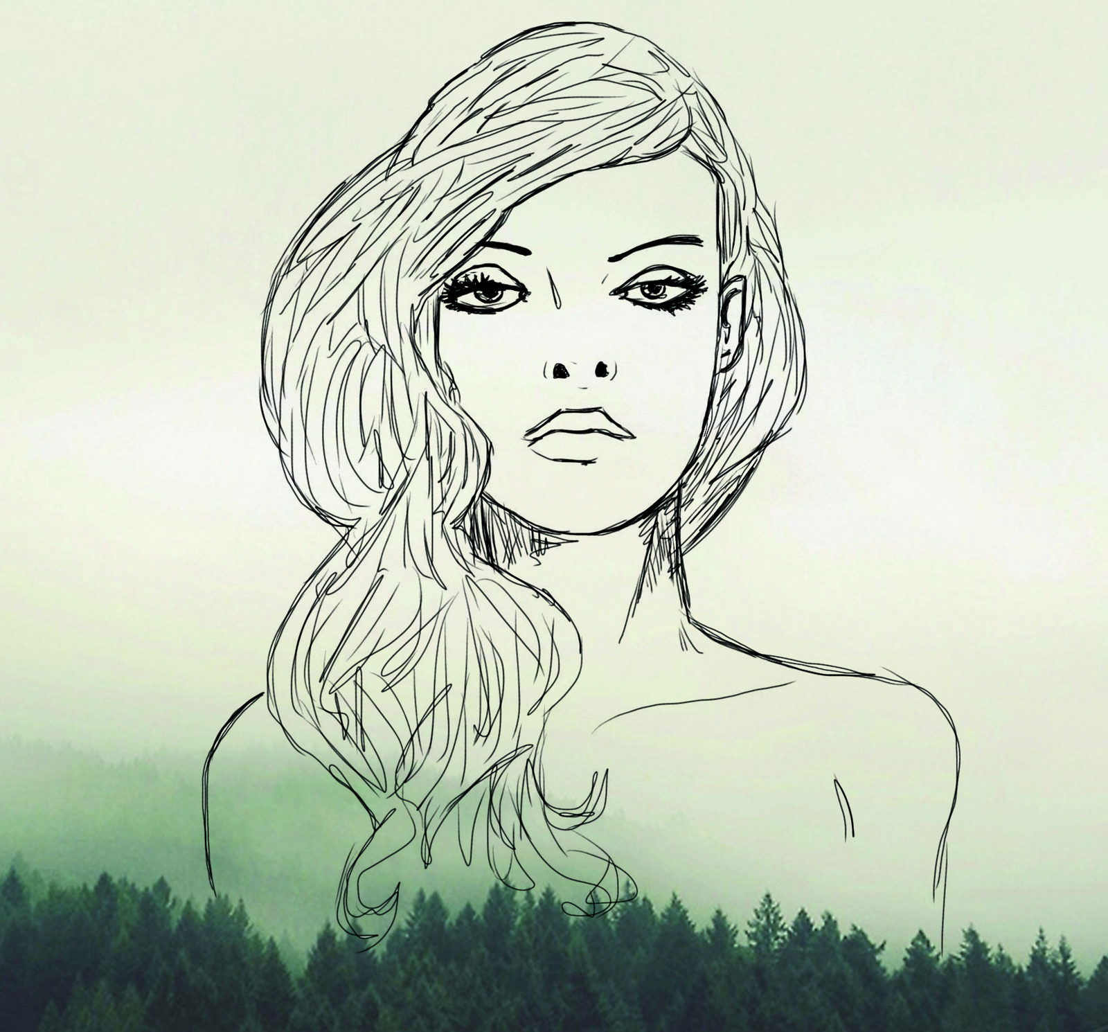 Line portrait drawn over a photograph of misty evergreen forest, by James Marshel