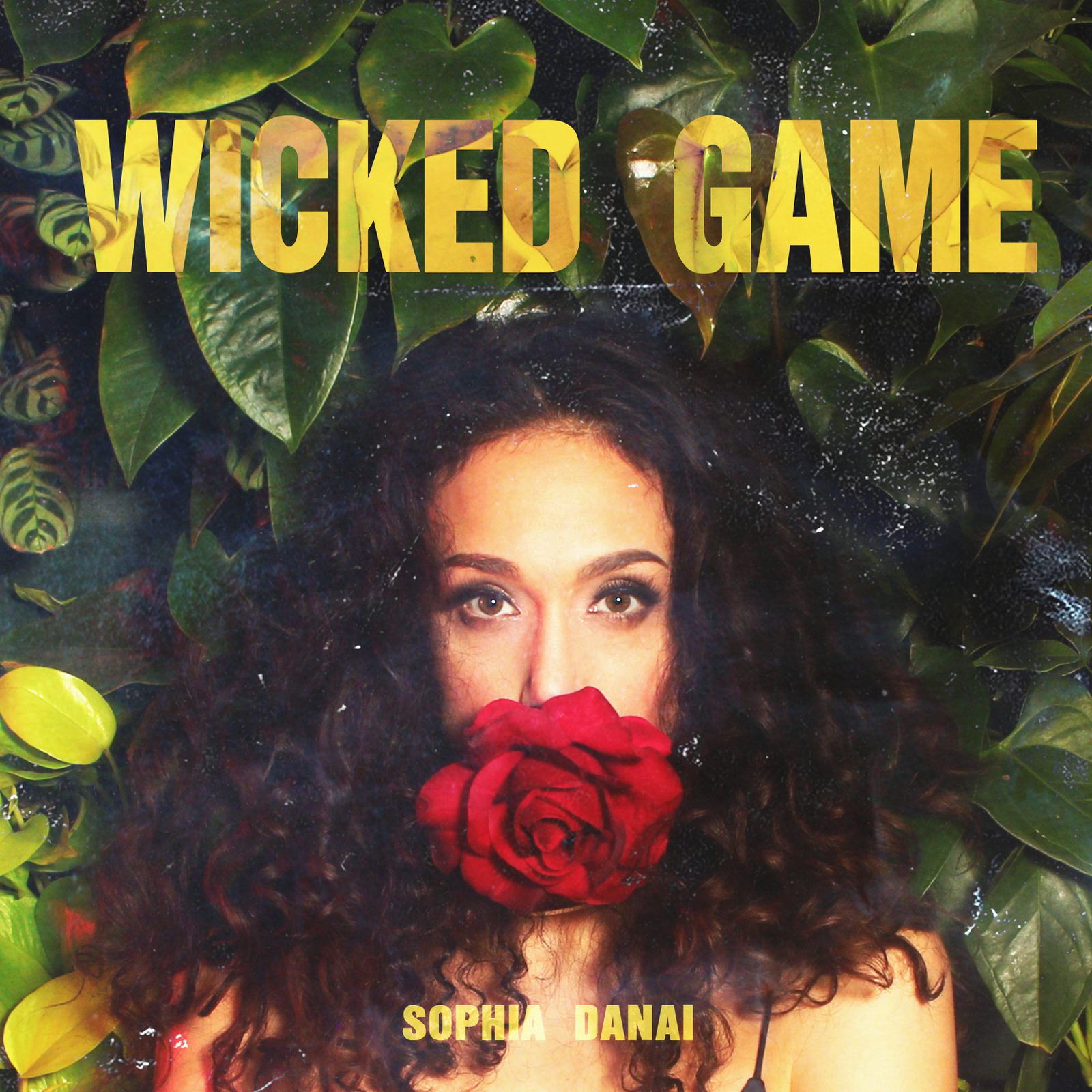 Sophia Danai — Wicked Game single cover, portrait among wet foliage with a red rose, designed by James Marshel